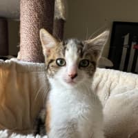 Photo of Little Leah