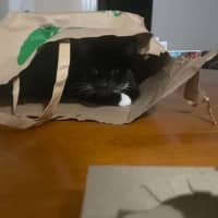Photo of Evelyn