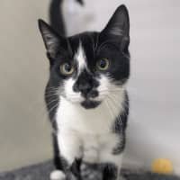 Photo of 🌵 Jeremiah 6268 🌵