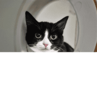 Photo of Kiki