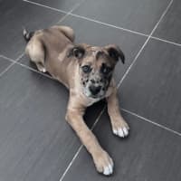 Photo of Dottie 
