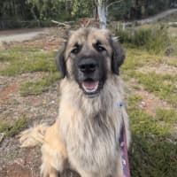 Photo of Hercules