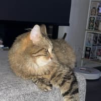 Photo of Murray