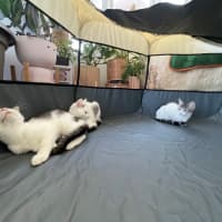 Photo of Edward (With Alice)