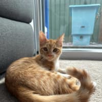 Photo of Rory