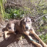Photo of Rayah 