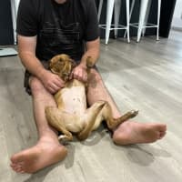 Photo of Mila And Lindy