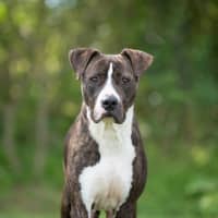 Photo of Sally