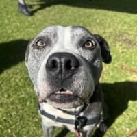 Photo of Tank