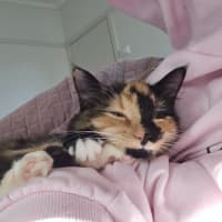Photo of Sophie