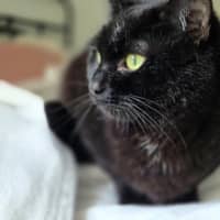 Photo of Mitzy Quinnell