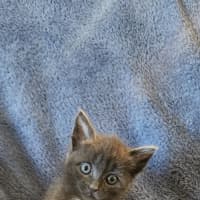 Photo of Tiny