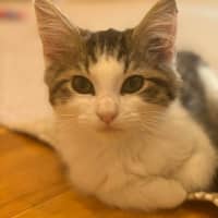 Photo of Orlando And Clem 