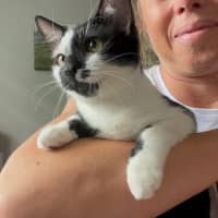 Photo of Dot