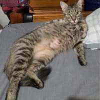 Photo of Bronte