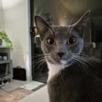 Photo of Seda