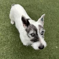 Photo of Walter