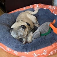 Photo of Molly Wensleydale