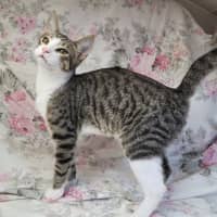 Photo of Tank