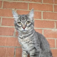 Photo of Winter! ❄️