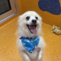 Photo of Peppi