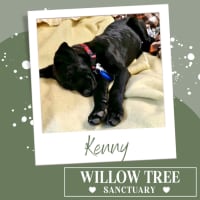 Photo of Kenny