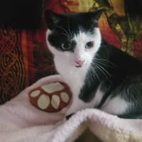 Photo of 💗 Amarina   Total Sweetheart 💗