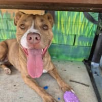 Photo of Skylar! 🌈