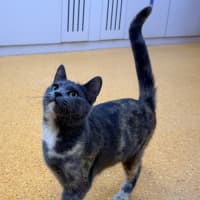 Photo of Maybelle