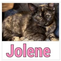 Photo of Jolene