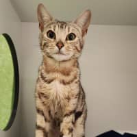 Photo of Lyta