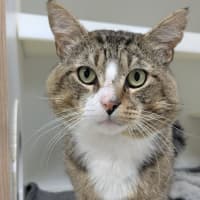 Photo of 😽 Jerome 6752 😽