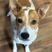 Photo of Ginny