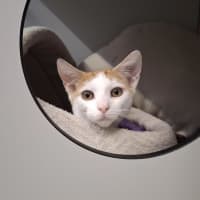Photo of Kammy