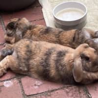 Photo of Patty & Selma