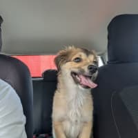 Photo of Sully