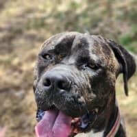 Photo of 🥛 Eggnog 5520 🥛