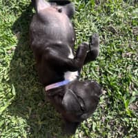 Photo of Ted