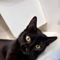 Photo of Annie
