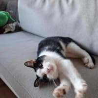 Photo of Maisie & Moo 🐄