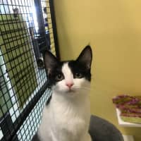 Photo of Mickey And Snow White