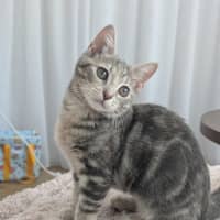 Photo of Ash Wednesday 🩶