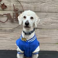 Photo of Quasar
