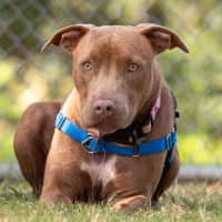 Photo of Enid
