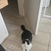 Photo of Daisy