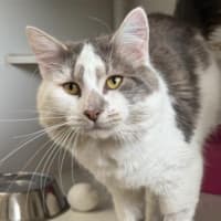 Photo of Percy