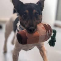 Photo of Reggie