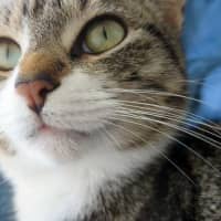 Photo of Esme