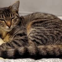 Photo of Sully 🌹🌹🌹