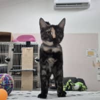 Photo of Miss Pink (0197)